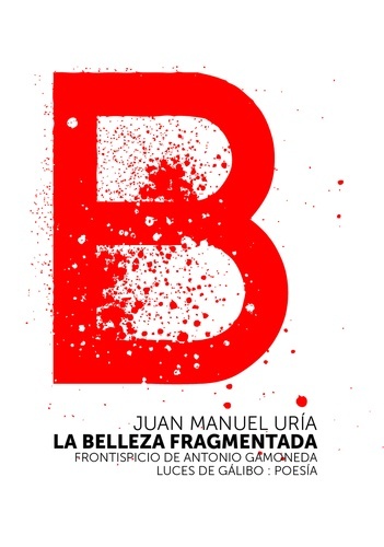 La belleza fragmentada