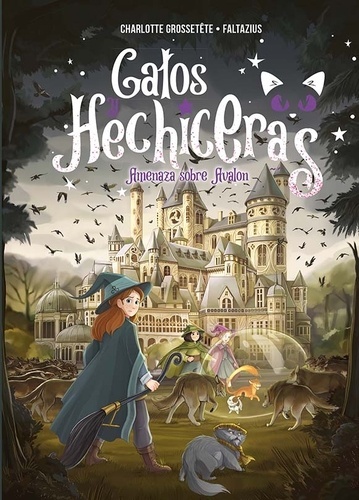 Gatos y hechiceras