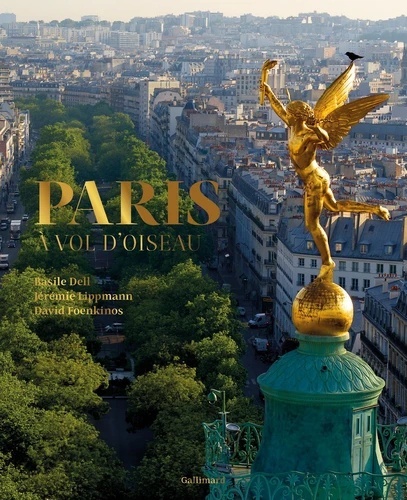 Paris à vol d'oiseau