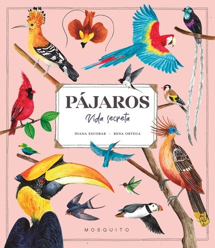 Pájaros