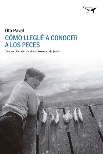 Como llegué a conocer a los peces