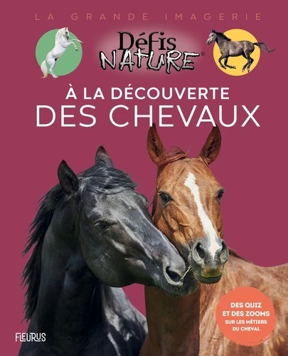 A la découverte des chevaux