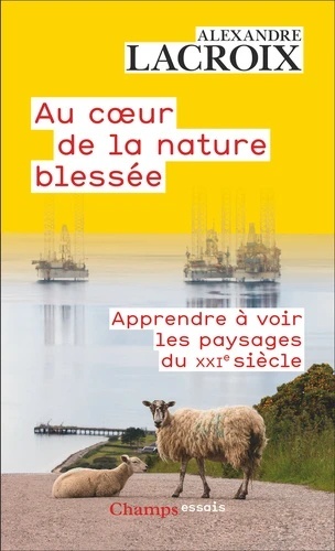 Au coeur de la nature blessée - Apprendre à voir les paysages du XXI siècle