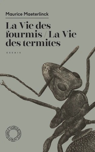 La vie des fourmis / La vie des termites