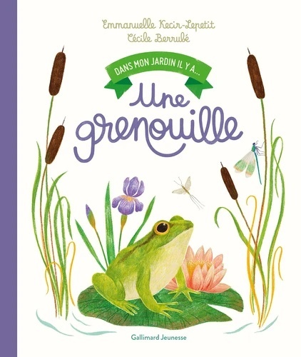 Une Grenouille