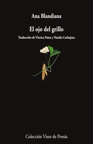 El ojo del grillo