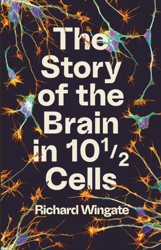 The Story of the Brain in 10 1/2 Cells