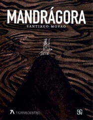 Mandrágora