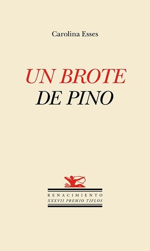 Un brote de pino