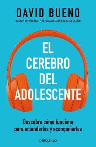 El cerebro del adolescente