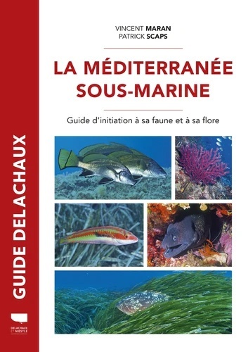 La Méditerranée sous-marine - Guide d'initiation à sa faune et et à sa flore