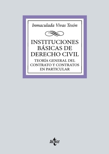 Instituciones básicas de derecho civil