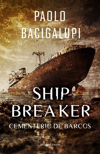 Cementerio de barcos