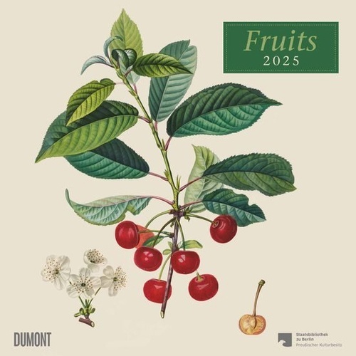 Calendario 2025 Fruits 30x30