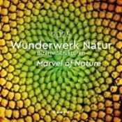 Calendario 2025 Marvel of Nature 30x30