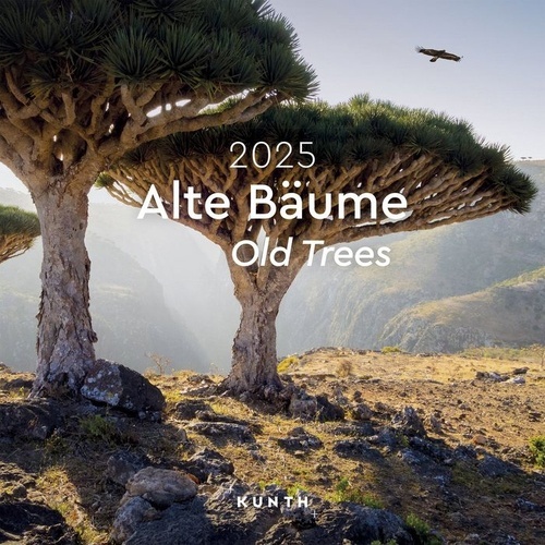 Calendario 2025 Old Trees 30x30