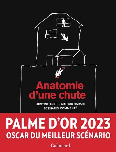 Anatomie d'une chute - Scénario