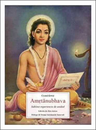 Amtnubhava