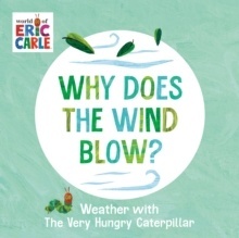 Why Does the Wind Blow?