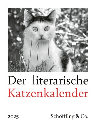 Der literarische Katzenkalender 2025.