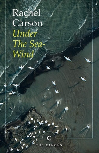 Under The Sea-Wind