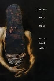 Calling a Wolf a Wolf