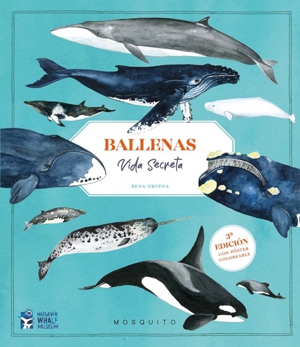 Ballenas