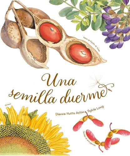 Una semilla dueRme