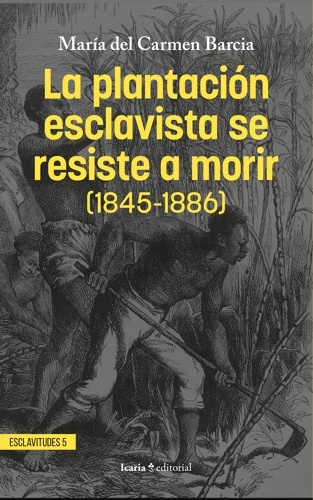 La plantación esclavista se resiste a morir (1845-1886)