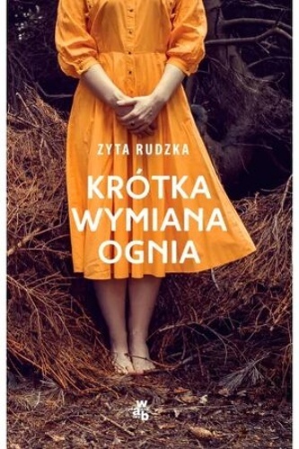Krótka wymiana ognia