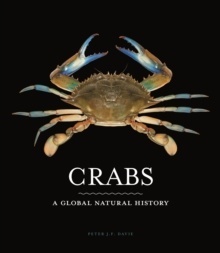 Crabs
