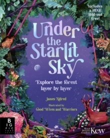Under the Starlit Sky