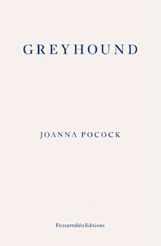 Greyhound