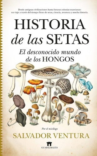 Historia de las Setas