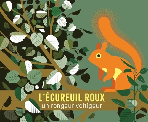 L'écureuil roux. Un agile petit rongeur