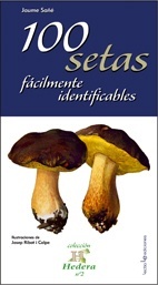 100 setas fácilmente identificables