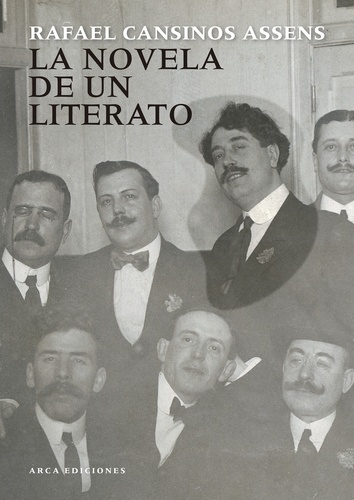 La novela de un literato