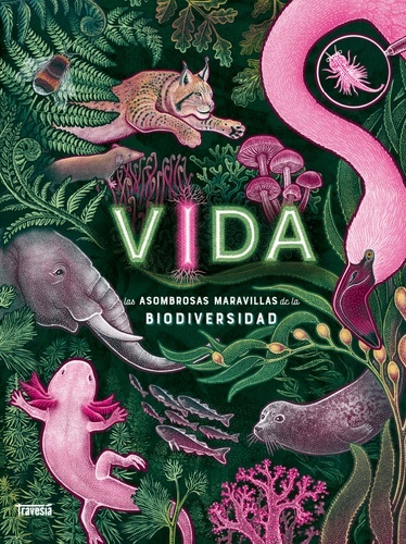 Vida