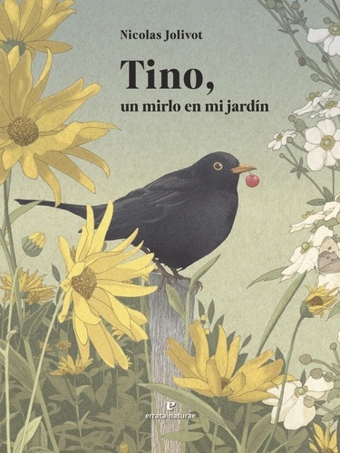 Tino, un mirlo en mi jardín