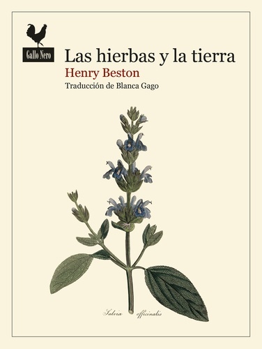 Las hierbas y la tierra