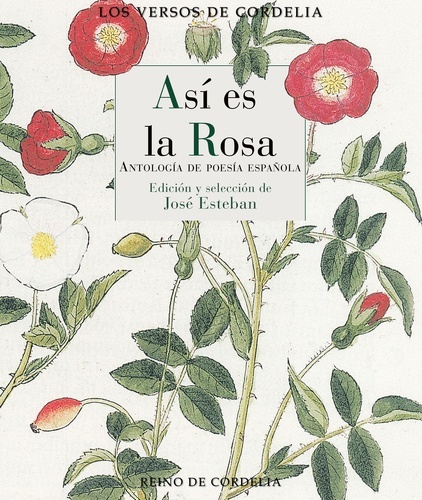 Así es la rosa