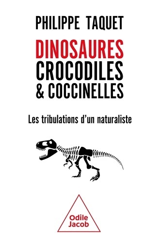 Dinosaures, crocodiles et coccinelles.