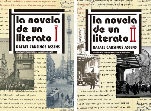 La novela de un literato