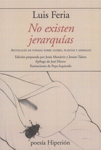 No existen jerarquías